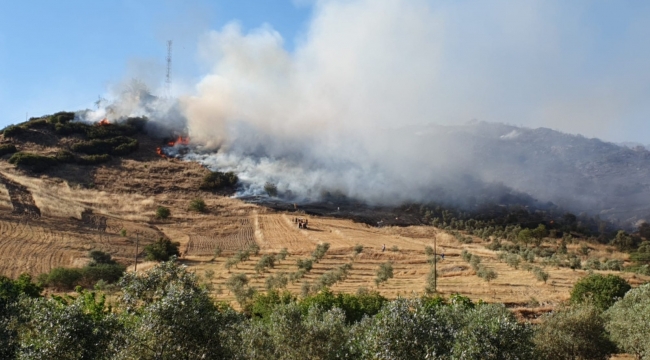 Aydın'da makilik ve tarım arazisi yangını