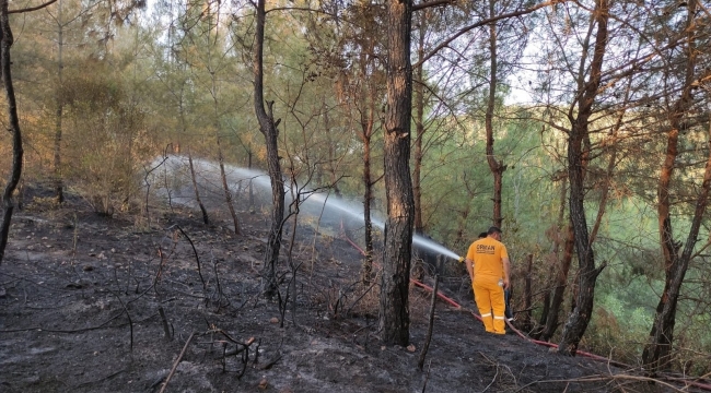 Osmaniye'deki orman yangını söndürüldü