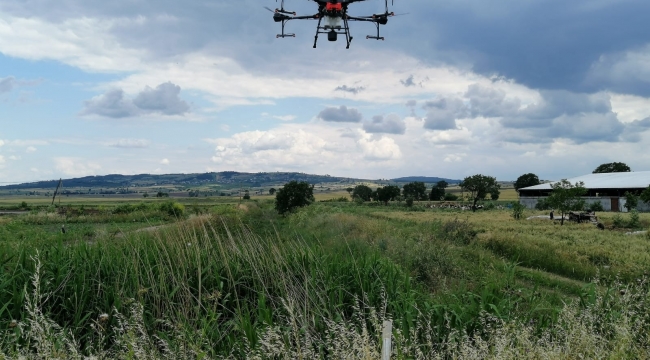 Manyas'ta drone ile sivrisineklere karşı zirai ilaçlama