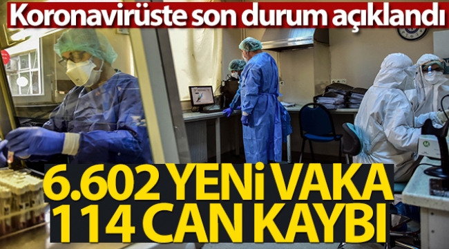 Türkiye'de son 24 saatte 6.602 koronavirüs vakası tespit edildi
