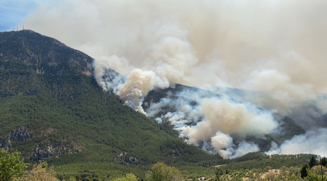 Akseki'de orman yangını devam ediyor