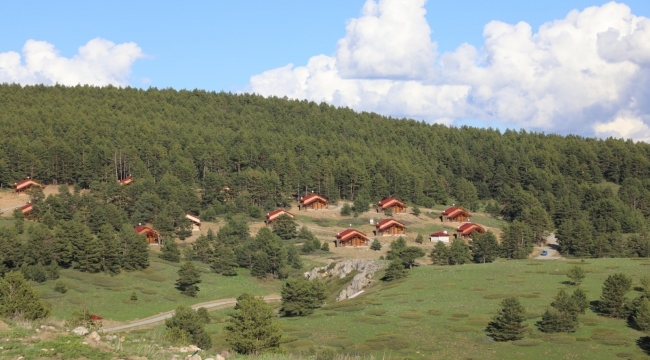 Erzincan'da ormanlık alanlara girişler 15 Eylül'e kadar yasaklandı
