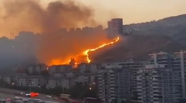 İzmir'de otluk alanlarda çıkan yangınlar söndürüldü
