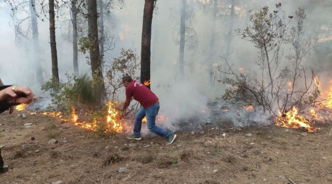 Orman kahramanları çalılarla yangının büyümesini engelledi