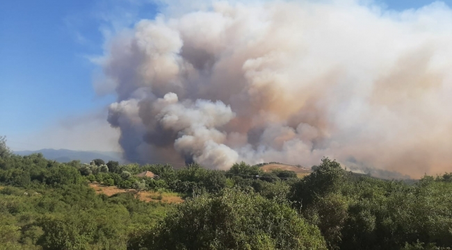 Osmaniye Valisi Erdinç Yılmaz'dan orman yangını açıklaması