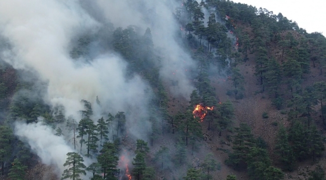 Vali Günaydın: "Yanan yerlerin büyük kısmı örtü yangını, ormanlarımızda büyük kaybımız yok"