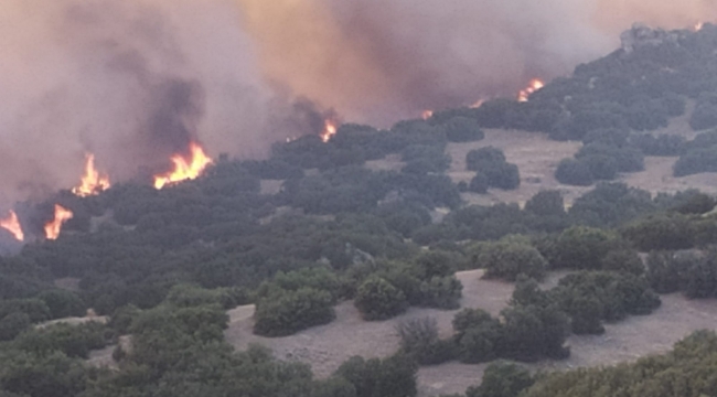 Manisa Büyükşehir Belediyesi ve MASKİ, Denizli'deki orman yangınına müdahalede bulundu