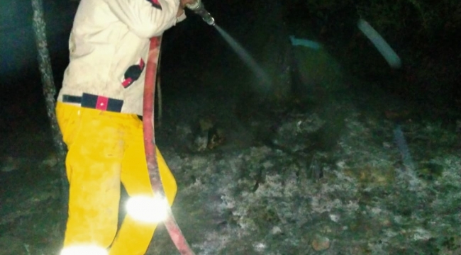 Samsun'da küçük çaplı örtü yangını söndürüldü