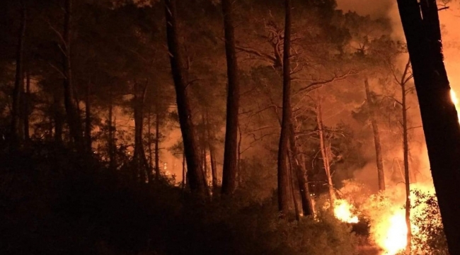 Seydikemer'de üç ayrı noktada orman yangını çıktı